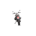Akrapovic Slip-On Exhaust BMW R NineT (17-23) (all) Akrapovic Slip-On Exhaust BMW R NineT (17-23) (all)
